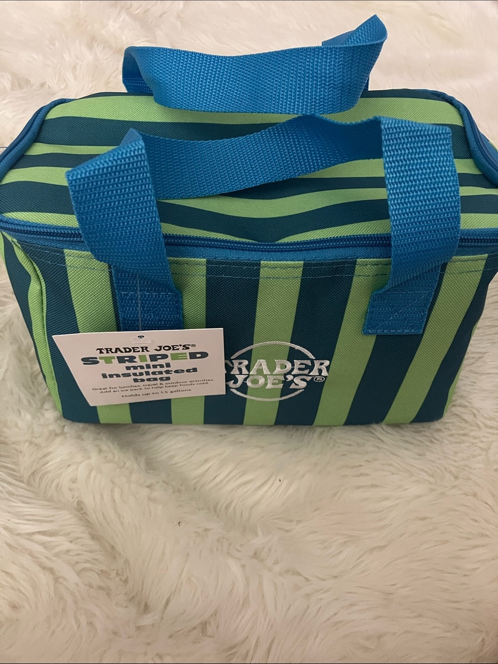 Trader Joe's Blue & Green Striped Insulated Lunch Tote
